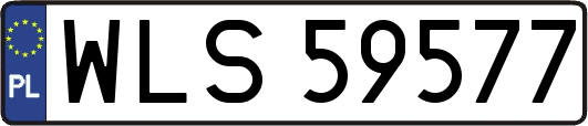 WLS59577