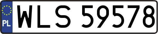 WLS59578
