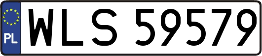 WLS59579