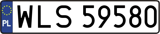 WLS59580
