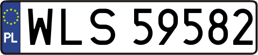 WLS59582