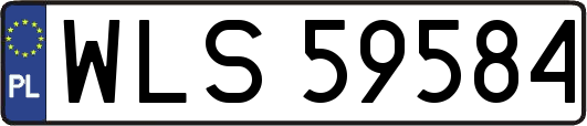 WLS59584