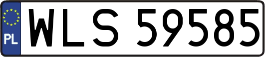 WLS59585