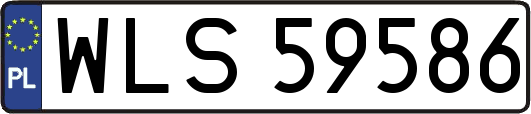 WLS59586
