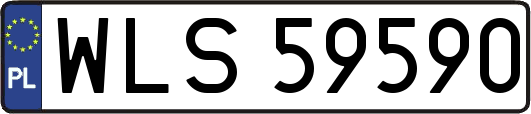 WLS59590