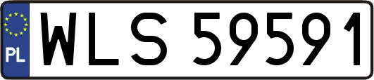 WLS59591