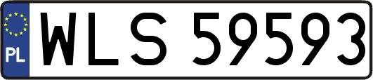 WLS59593