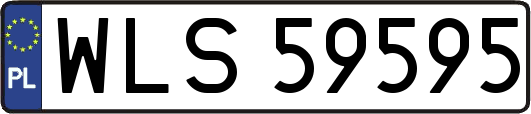 WLS59595