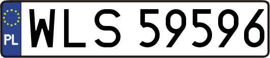 WLS59596
