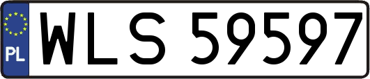 WLS59597