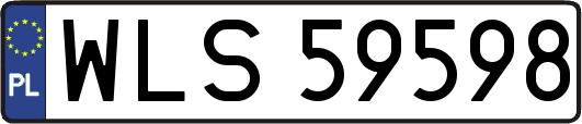 WLS59598