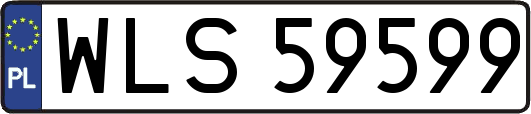 WLS59599