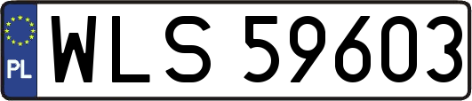 WLS59603