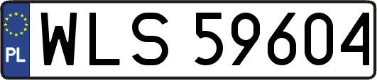WLS59604
