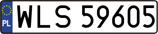 WLS59605