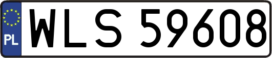 WLS59608