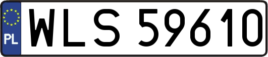 WLS59610