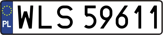 WLS59611