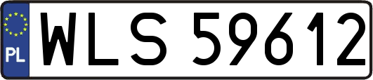 WLS59612