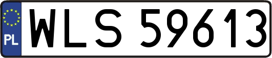 WLS59613