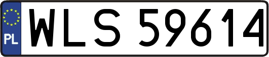 WLS59614