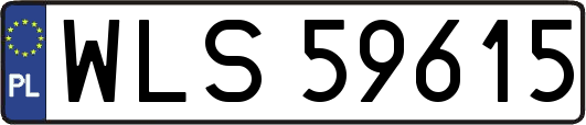 WLS59615