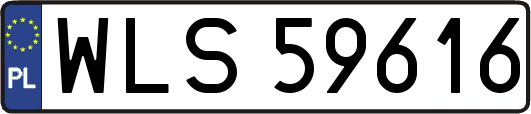 WLS59616