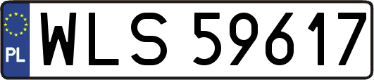 WLS59617