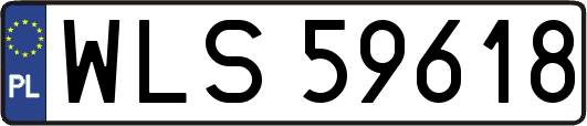 WLS59618