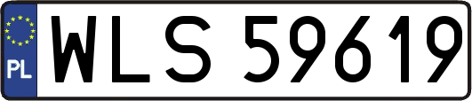 WLS59619