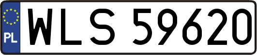 WLS59620