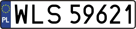 WLS59621