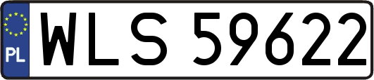 WLS59622