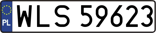 WLS59623