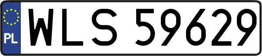 WLS59629