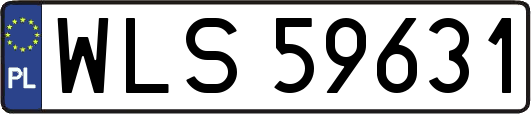 WLS59631