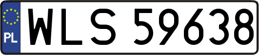 WLS59638