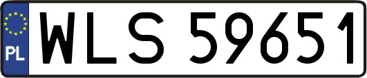 WLS59651