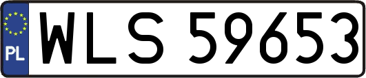 WLS59653
