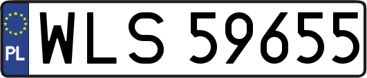WLS59655
