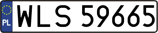 WLS59665