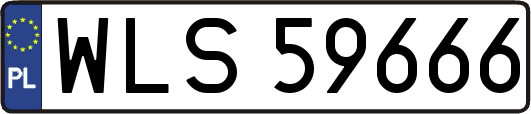WLS59666