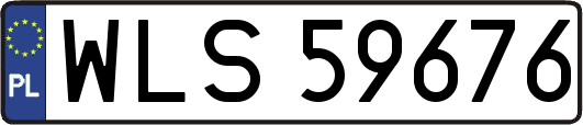 WLS59676
