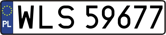 WLS59677