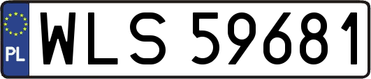 WLS59681