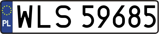 WLS59685