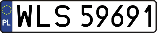 WLS59691