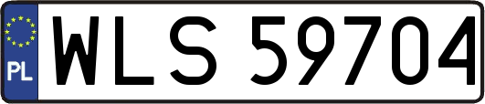 WLS59704