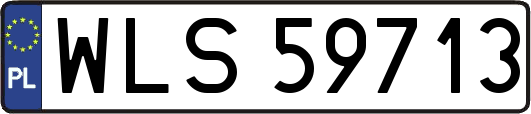 WLS59713