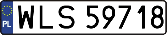 WLS59718